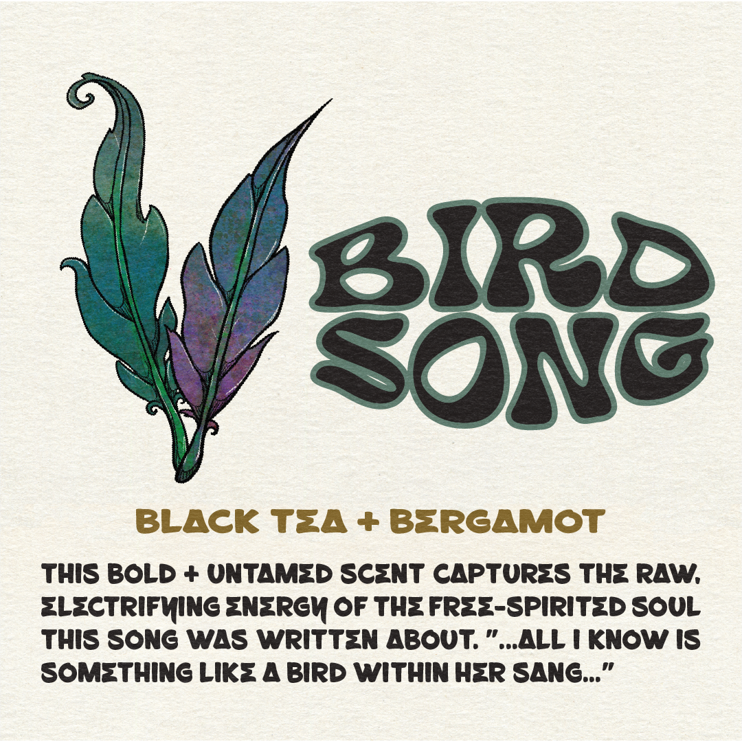 INCENSE STICKS + CONES