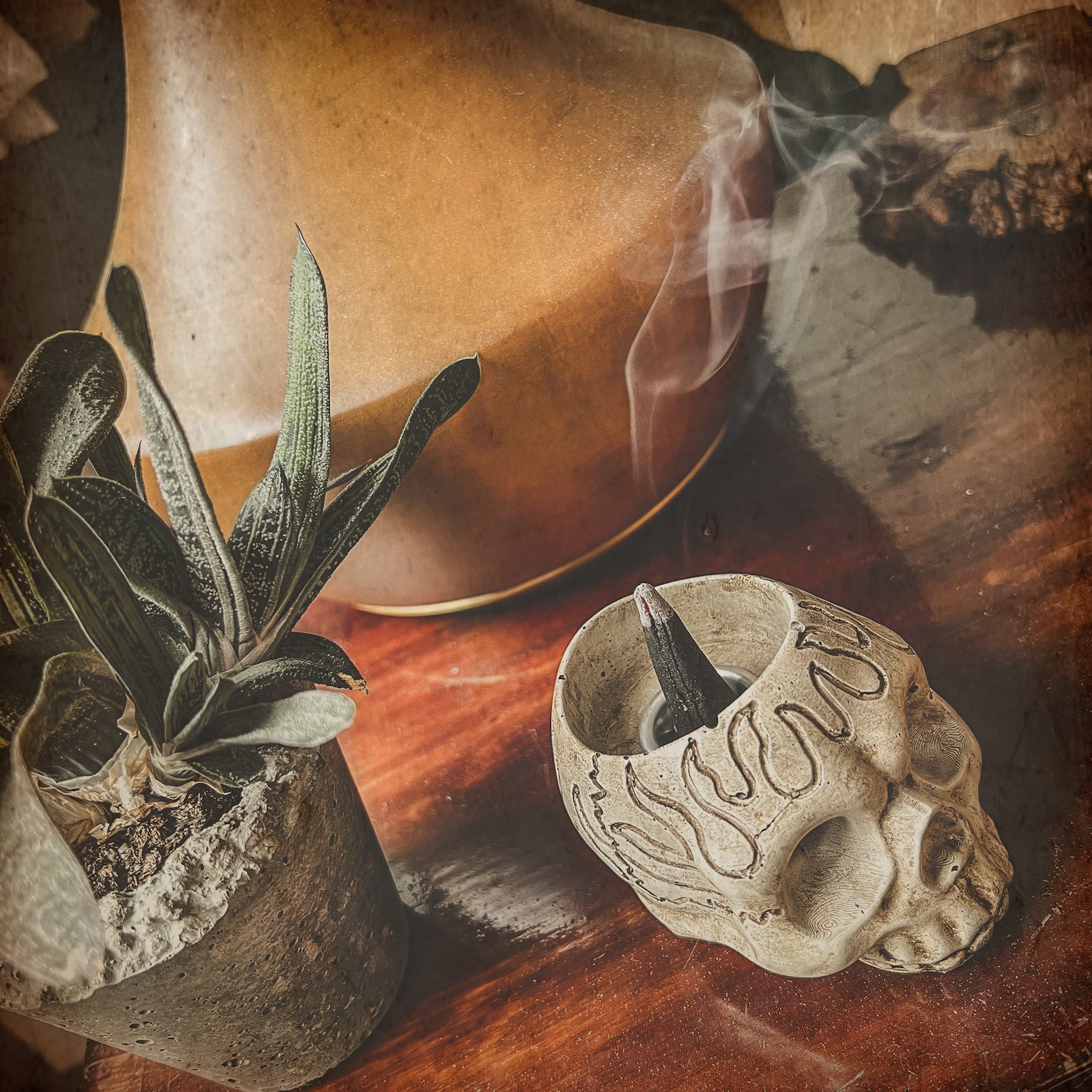 INCENSE STICKS + CONES