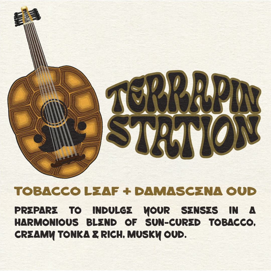 INCENSE STICKS + CONES