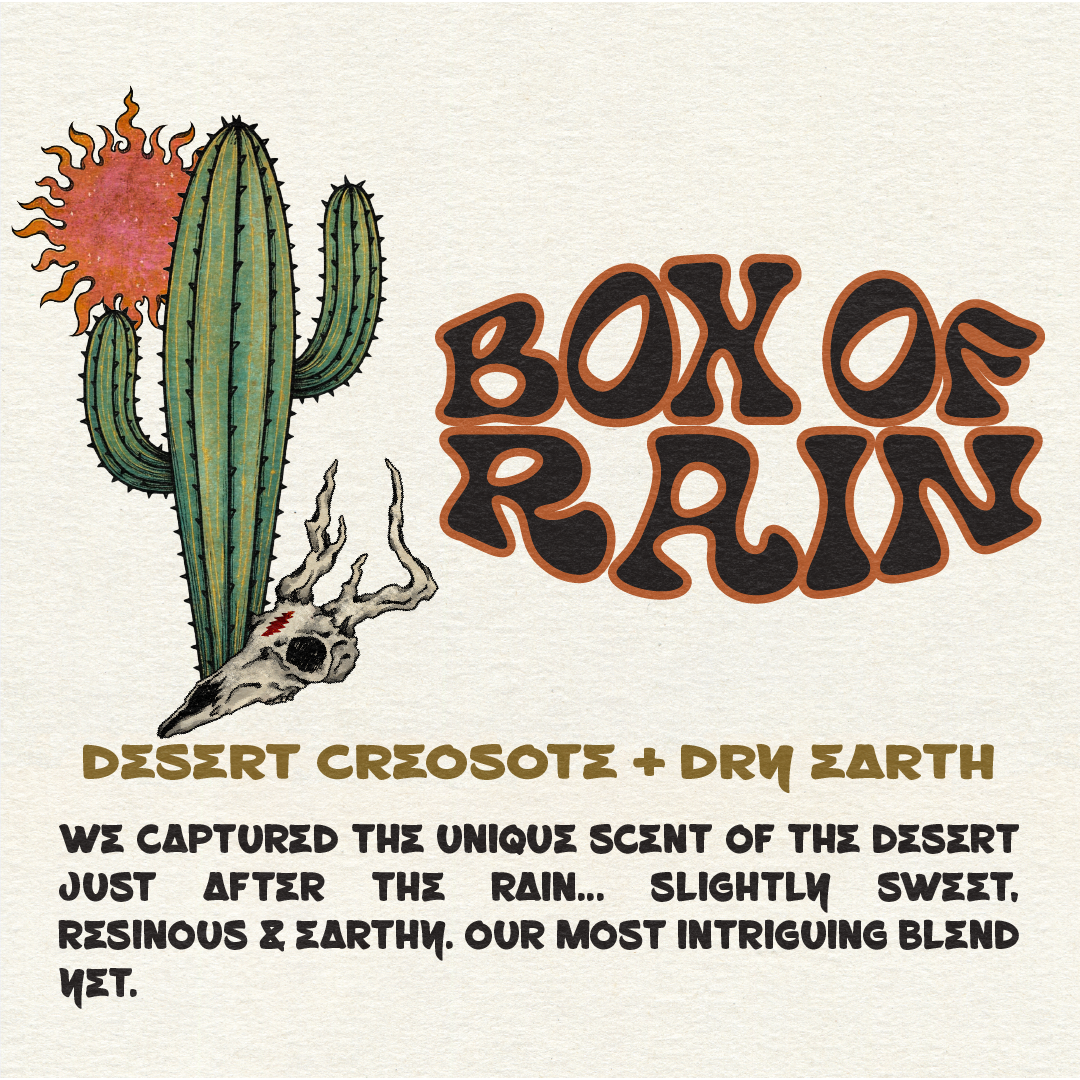 INCENSE STICKS + CONES