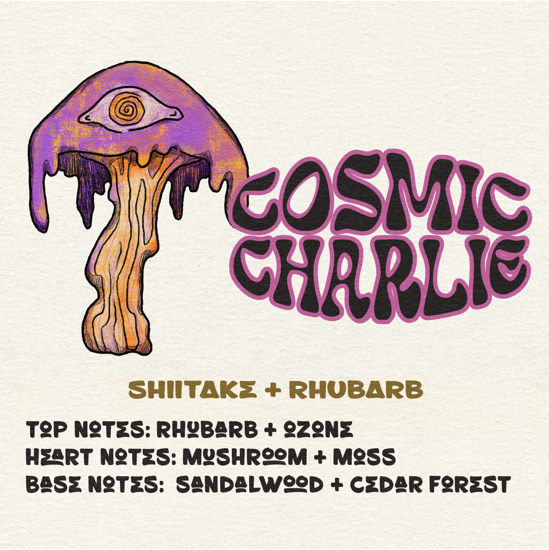 Cosmic Charlie EDP