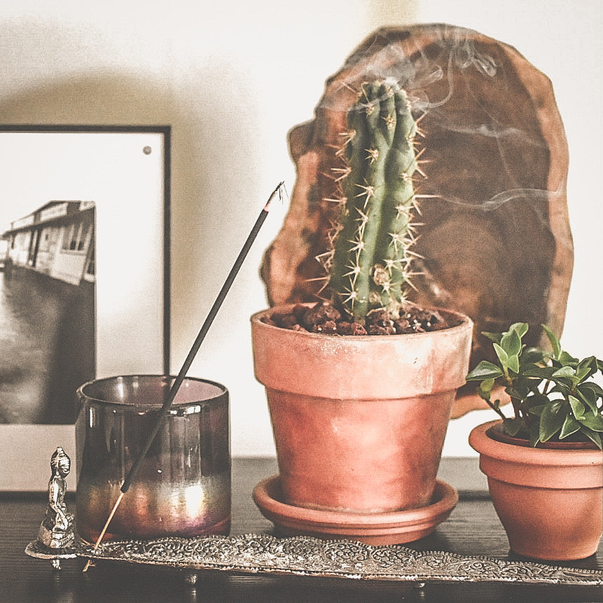 incense in plant pots INCENSE STICKS + CONES – GRATEFUL MERCHANT CO