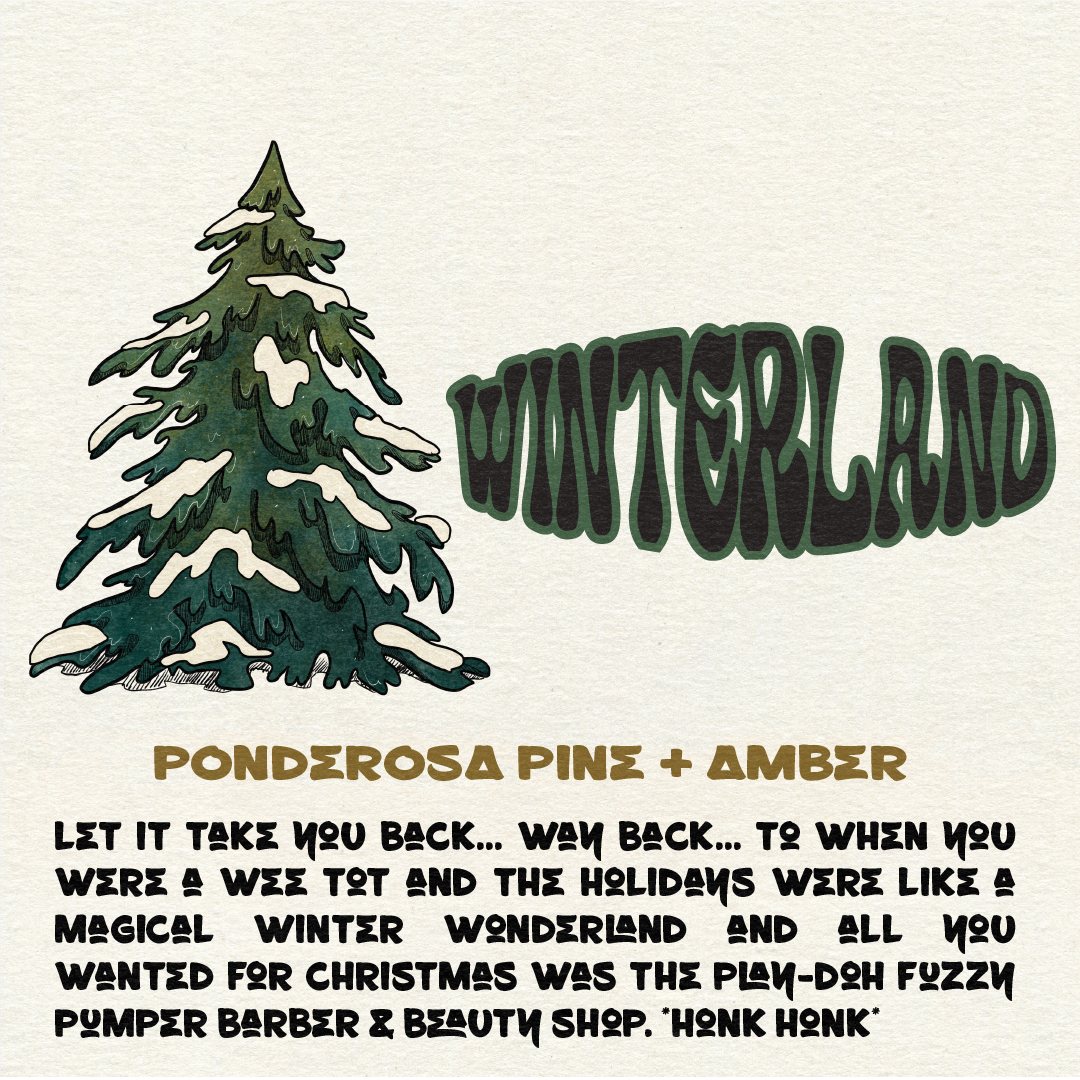 INCENSE STICKS + CONES